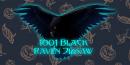 896046 1001 Black Raven Jigsa